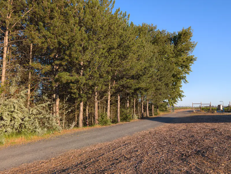 May 8, 2026: scouting walk
