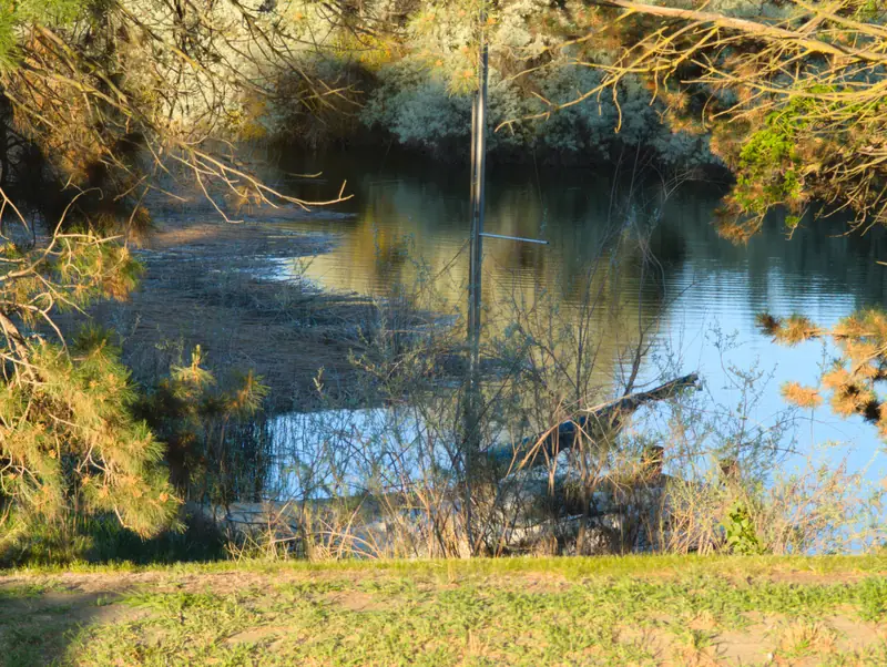 May 8, 2026: scouting walk, the lake