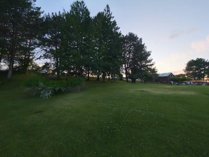 June 27, 2025: first scouting walk, the lawn