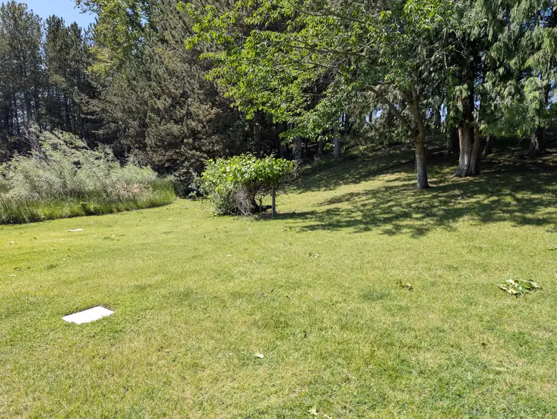 The grounds