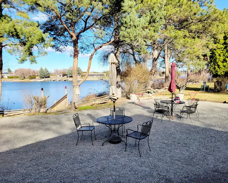 Patio tables under the pines, with the lake through the trees